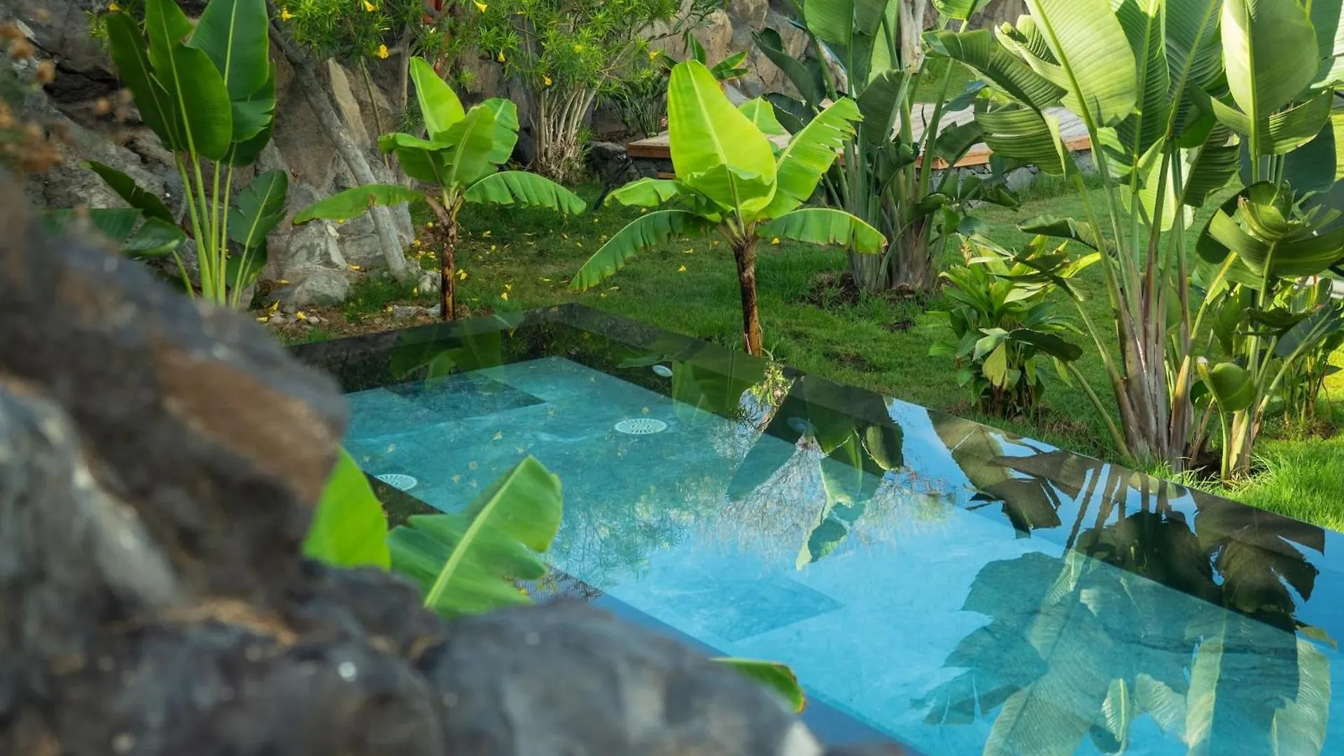 11 Holiday Homes San Miguel de Abona